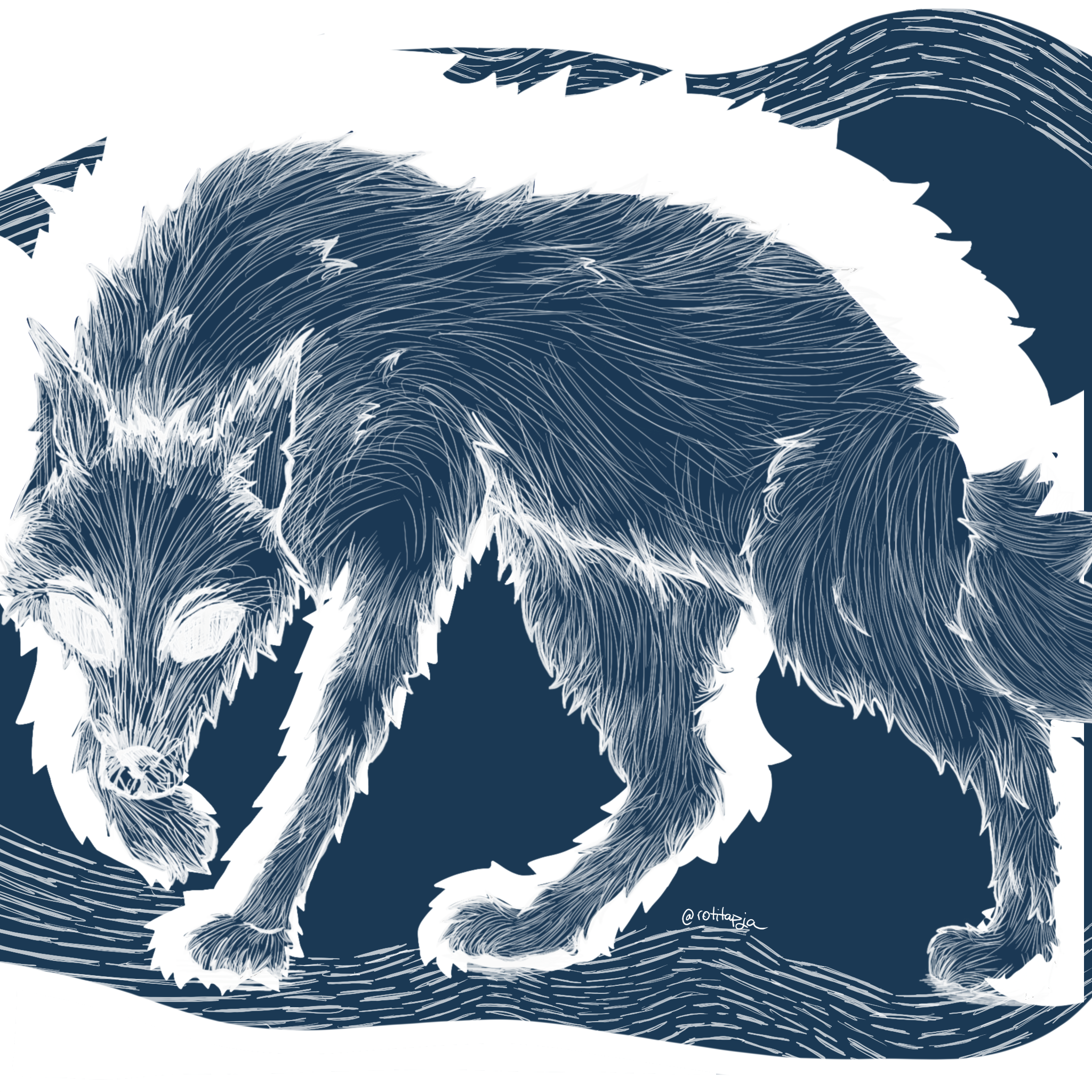 Drawing of blue wolf with white outlines and drawn out fur as small line strokes covering the whole body. The whole body can be seen and you can see the body from the side while the head is turned towards the viewer. The drawing is in a cartoon-like style